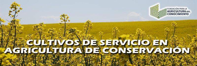  Cultivos de servicio en agricultura de conservación (24 y 25.03.025)